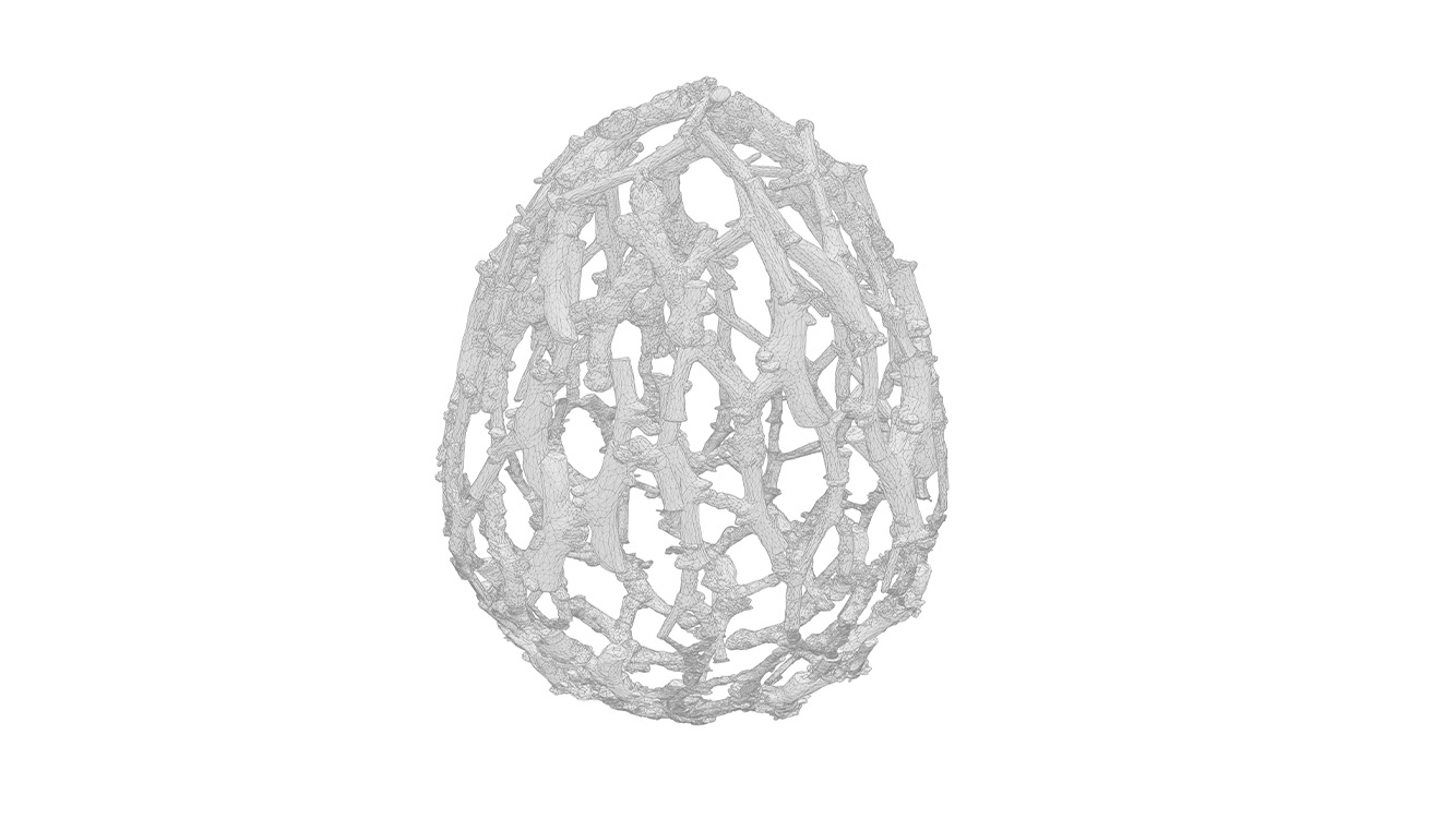 Egg-shaped lattice composed from scanned branches